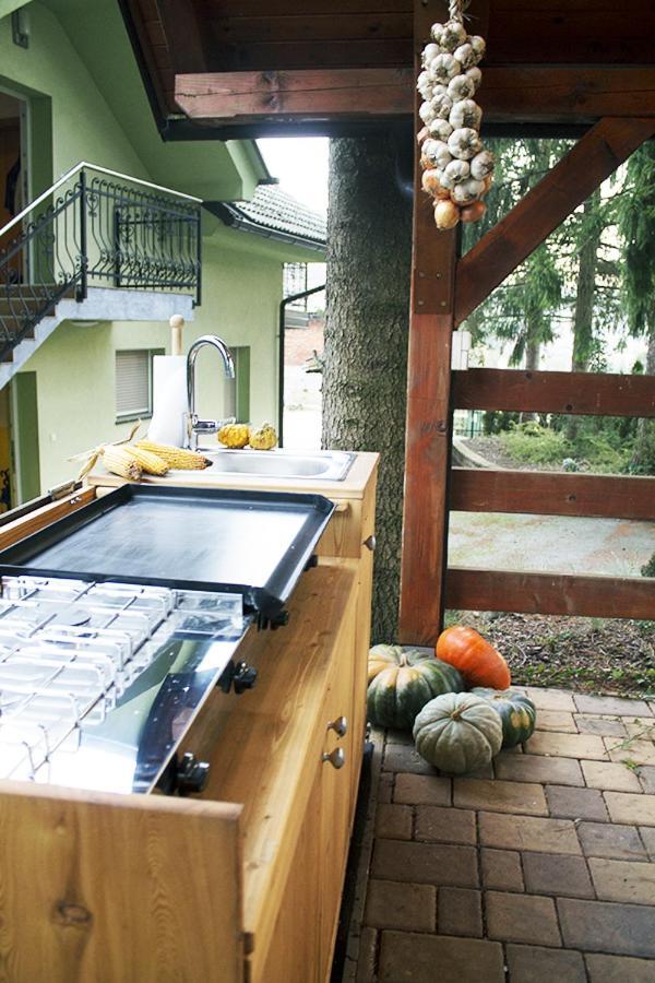 Apartma Pegaz Rogaška Slatina Exterior foto